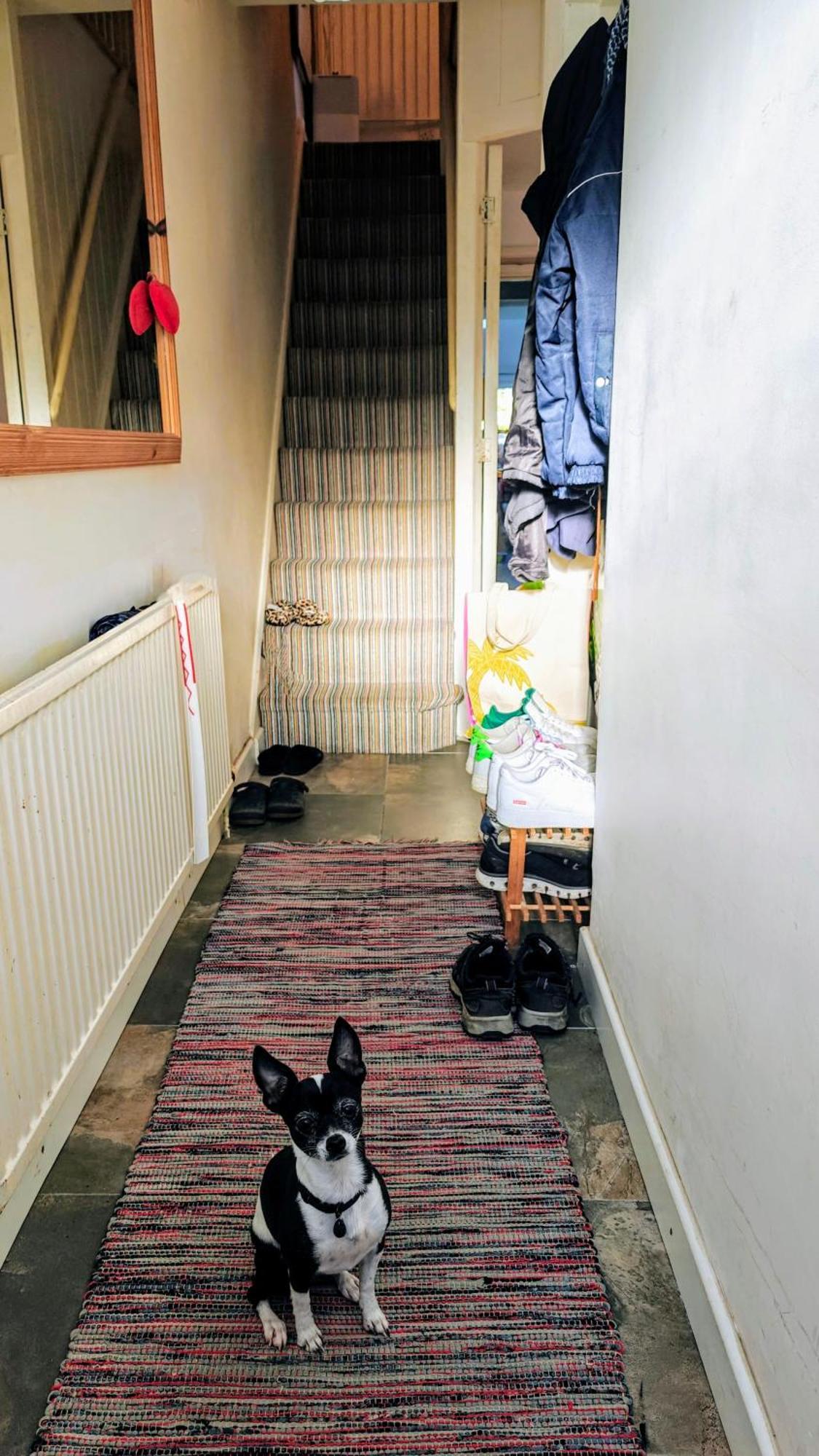 Headington Haven Homestay Oxford Exteriér fotografie